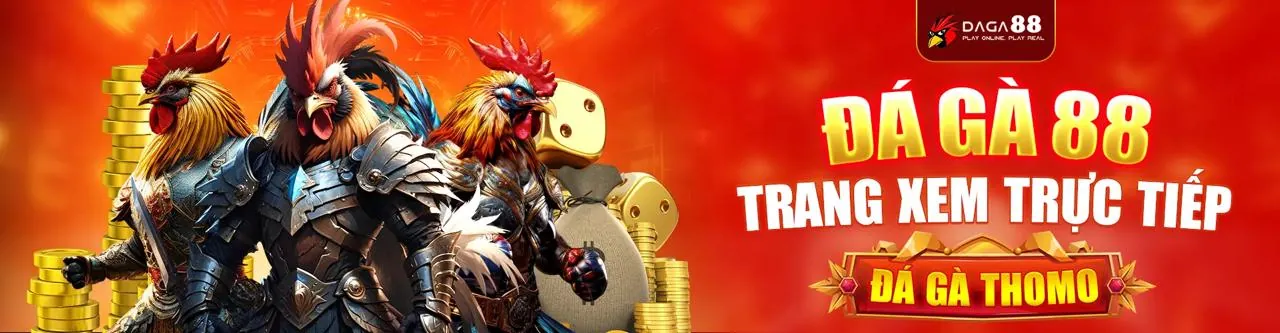 Giải thích về Cookie và bảo mật dữ liệu trên rr888